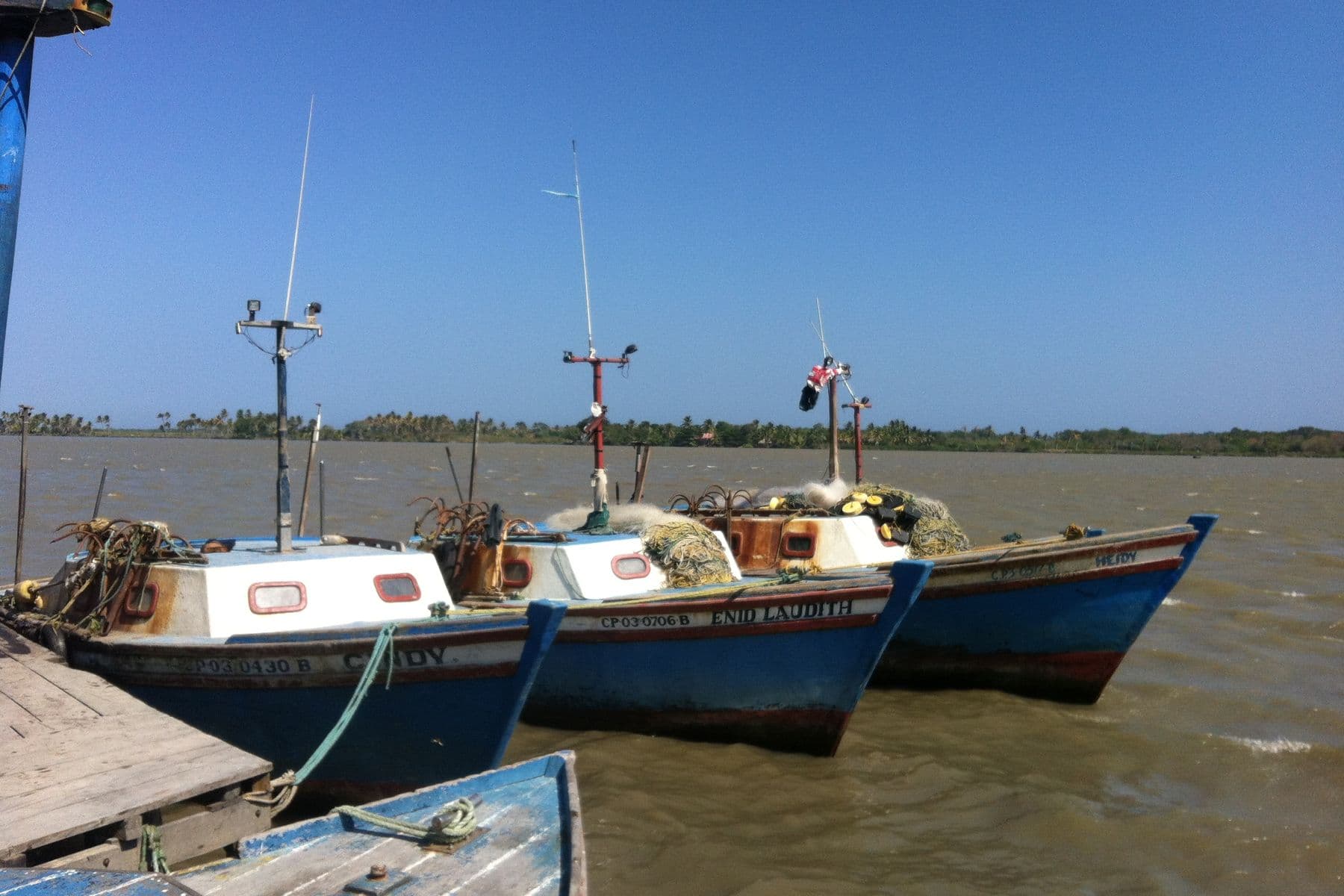 Barche da pesca ormeggiate sul río Magdalena