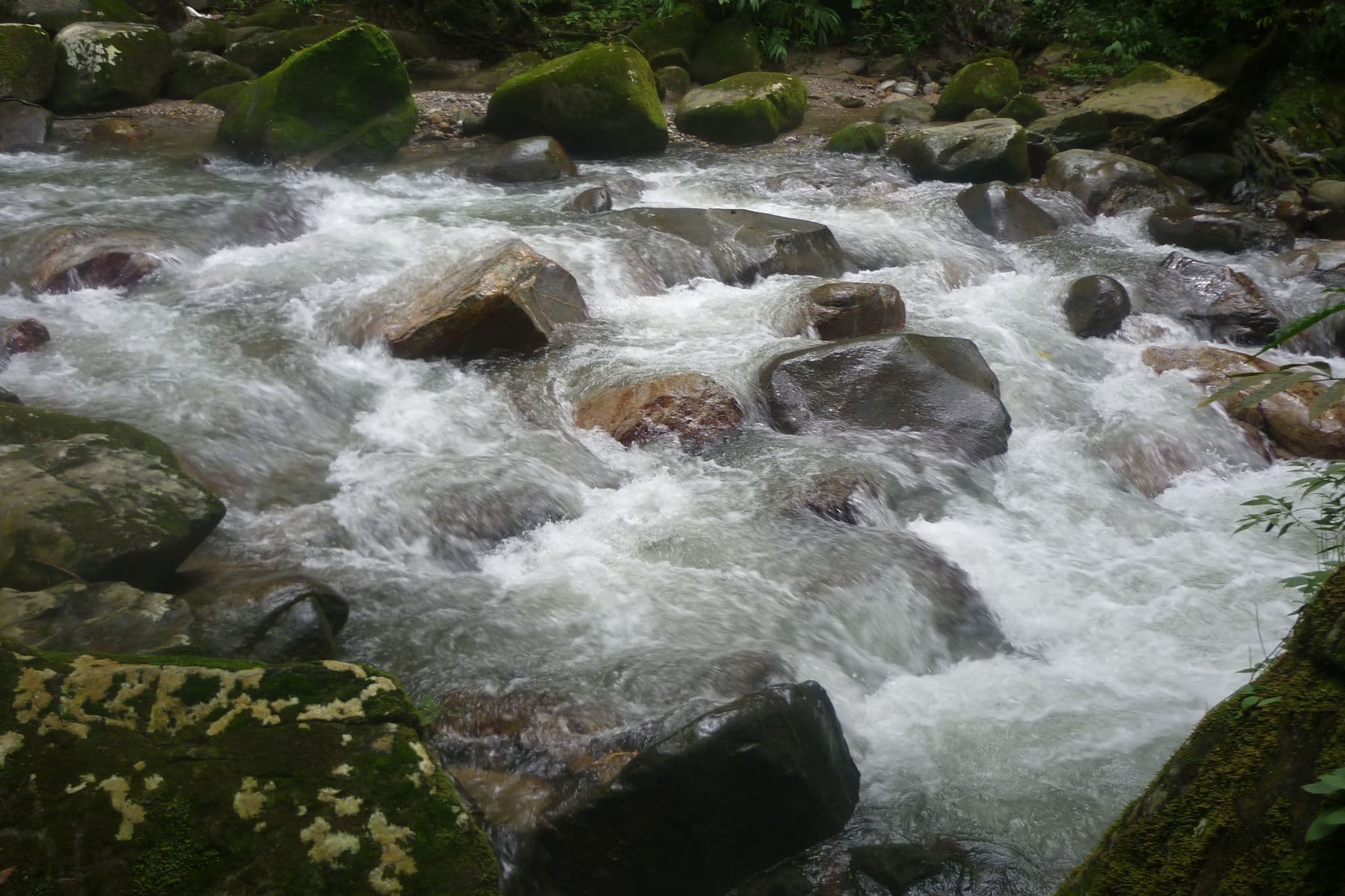 Il fiume che scende fra i massi coperti di muschio, sopra Minca